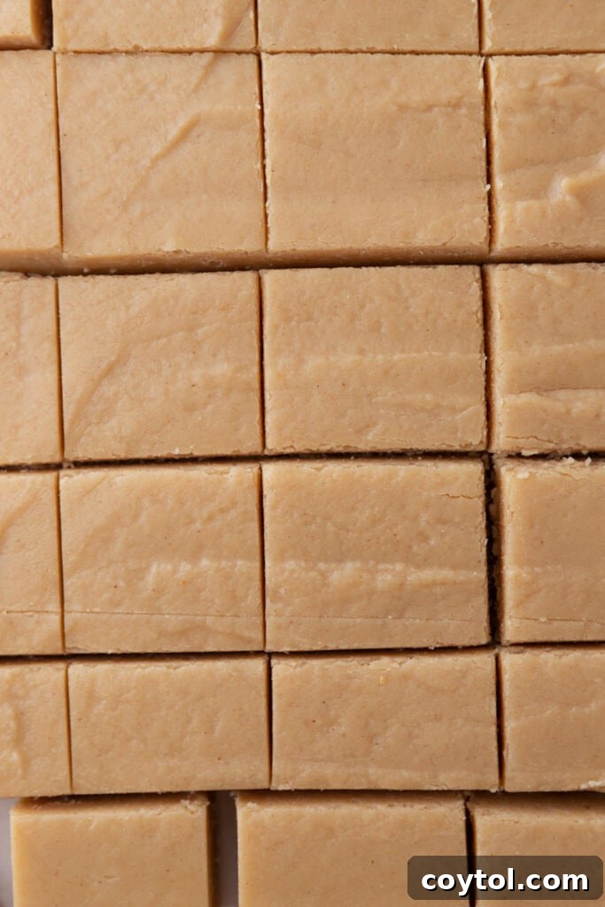 Instant Microwave Peanut Butter Fudge 9 Set microwave peanut butter fudge, neatly cut into squares directly in the pan.