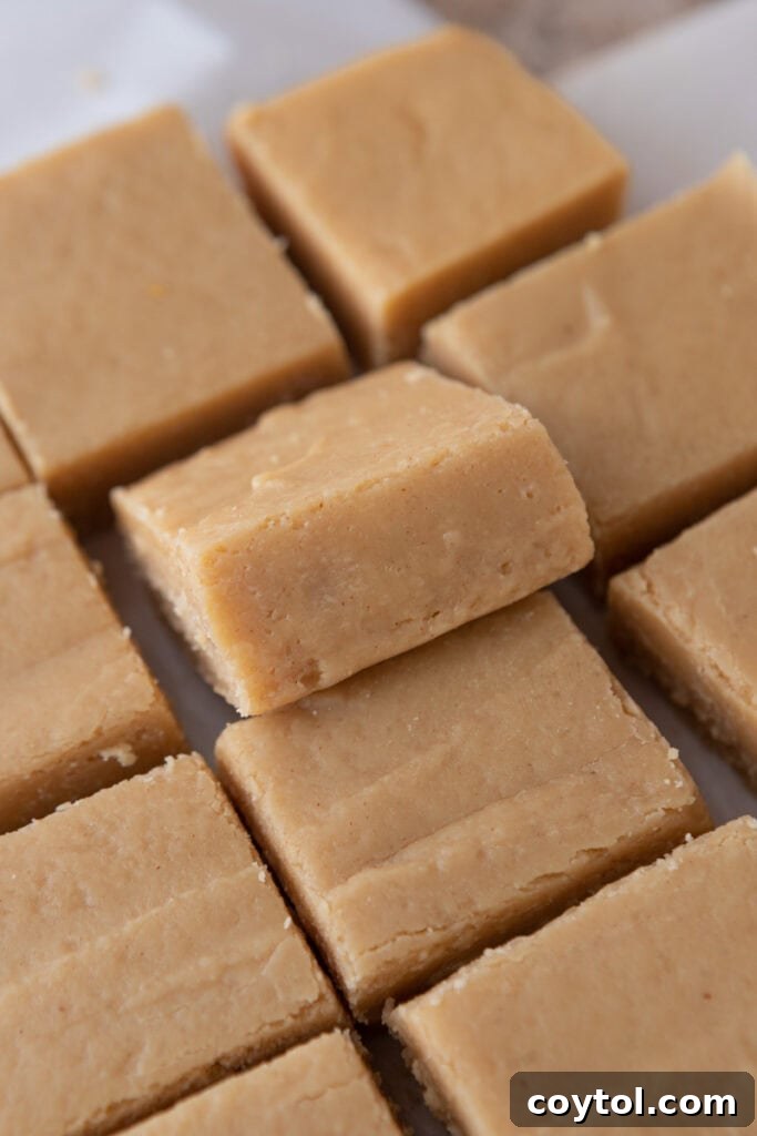 Instant Microwave Peanut Butter Fudge 10 Perfectly cut squares of microwave peanut butter fudge, arranged for serving.