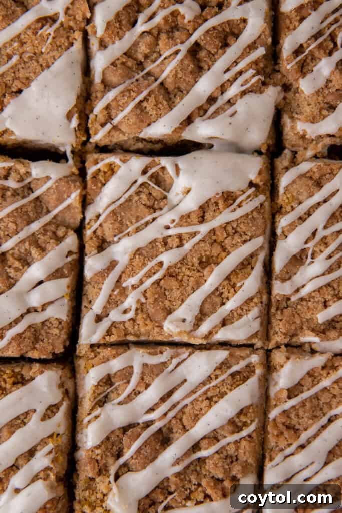 pumpkin coffee cake recipe overhead shot