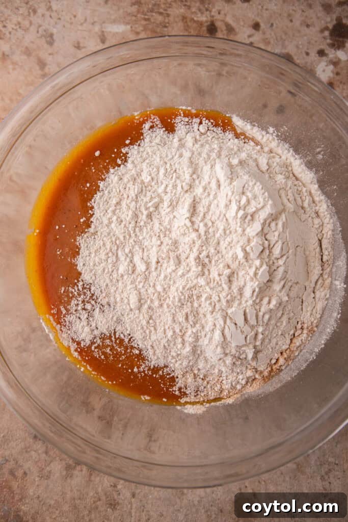mixed ingredients in a bowl with flour