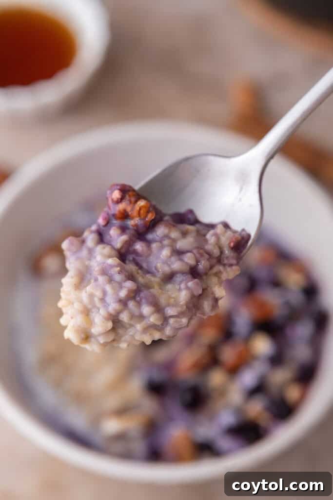 Perfectly Creamy Instant Pot Steel-Cut Oats 2 how to cook steel cut oats in instant pot being held up by a spoon