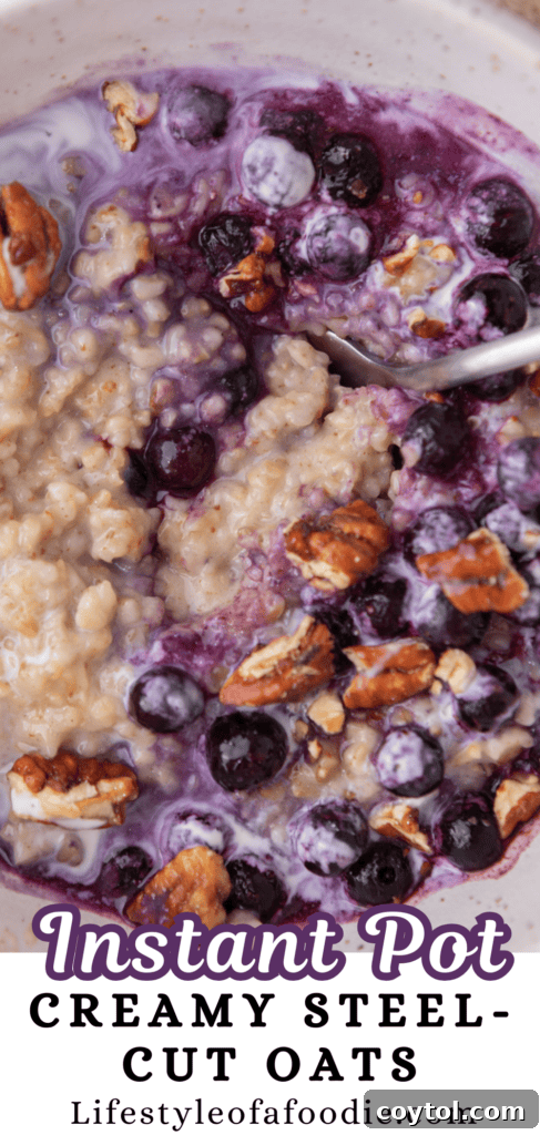 Perfectly Creamy Instant Pot Steel-Cut Oats 12 Instant Pot creamy steel-cut oats