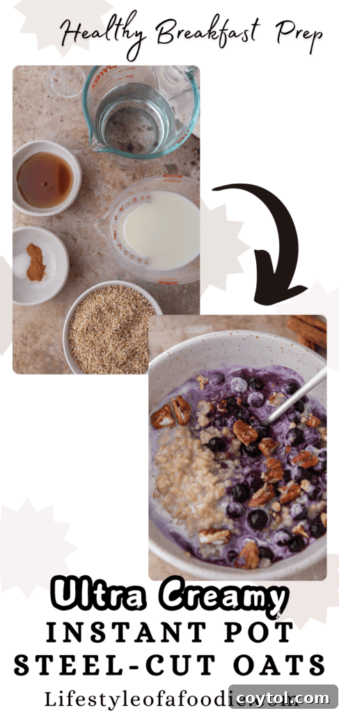 Perfectly Creamy Instant Pot Steel-Cut Oats 13 Instant Pot creamy steel-cut oats