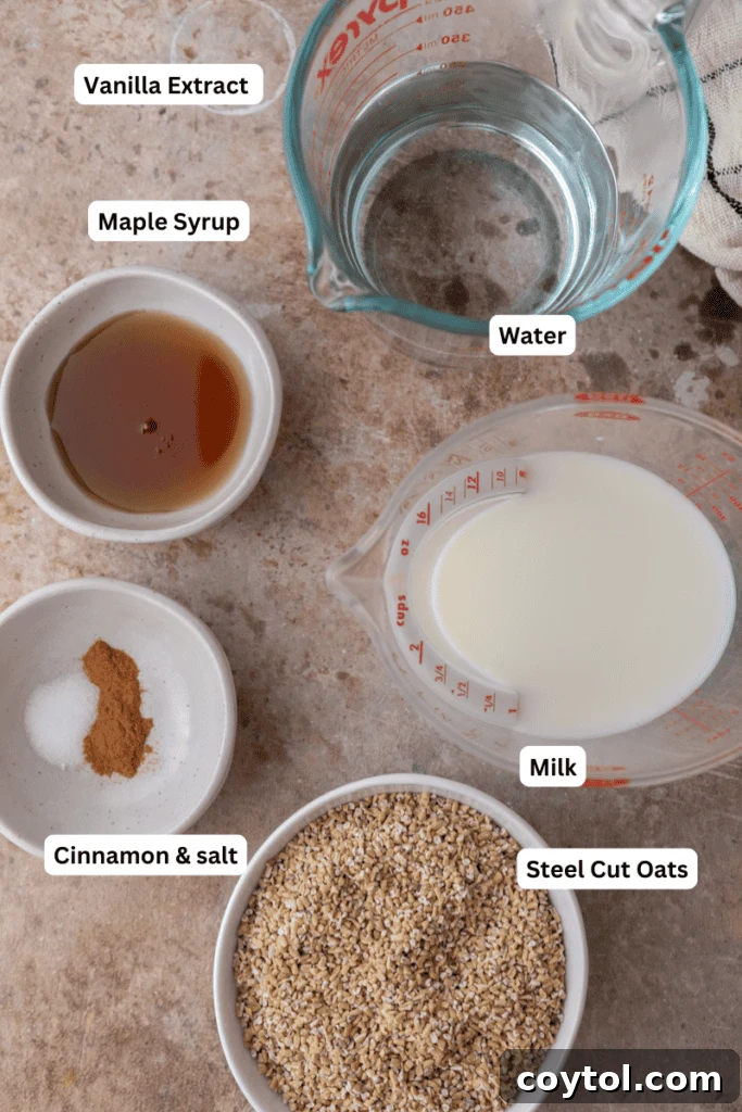 Perfectly Creamy Instant Pot Steel-Cut Oats 3 How to cook steel cut oats in Instant Pot ingredients