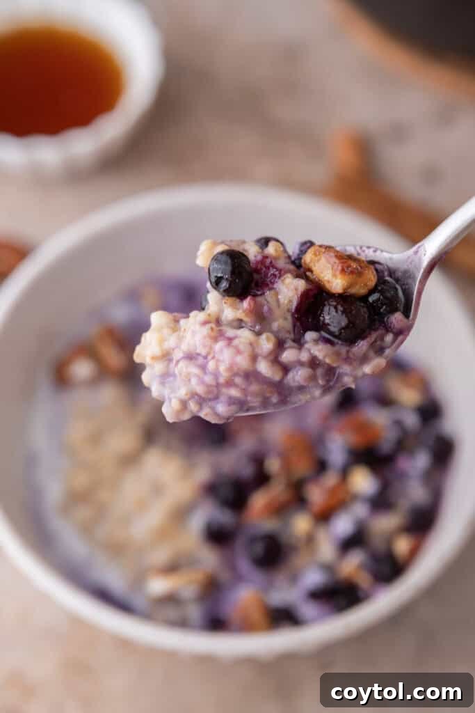 Perfectly Creamy Instant Pot Steel-Cut Oats 9 how to cook steel cut oats in instant pot being held up by a spoon