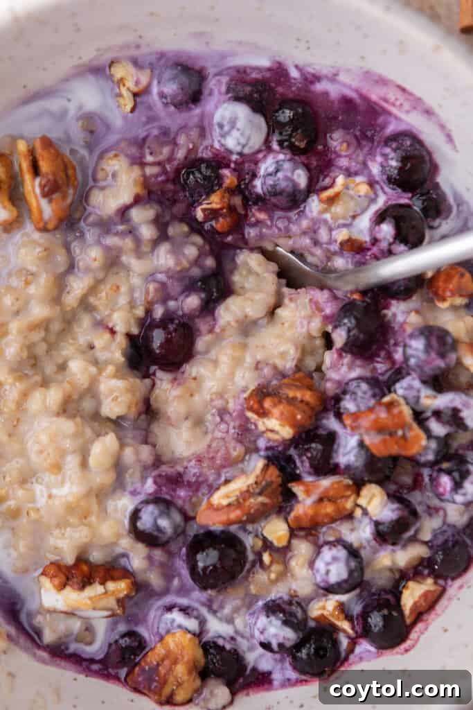 Perfectly Creamy Instant Pot Steel-Cut Oats 10 Close up of the oats