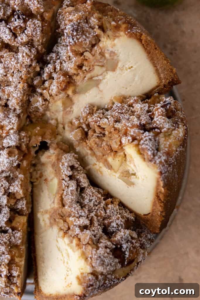 overhead view of the apple crisp cheesecake recipe