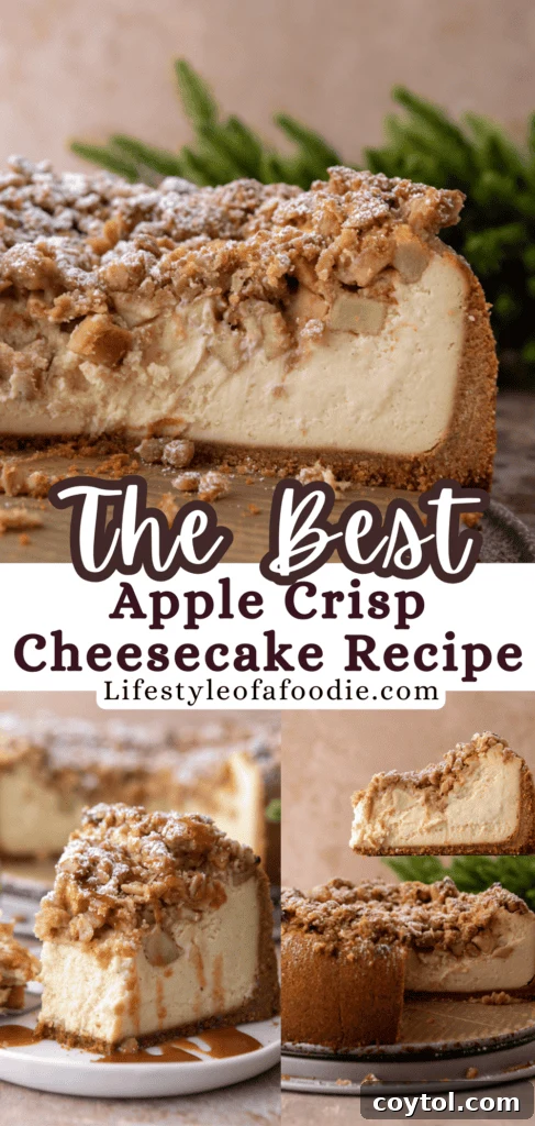 Apple Crisp Cheesecake Recipe