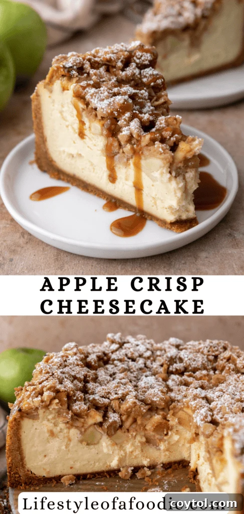 Apple Crisp Cheesecake Recipe