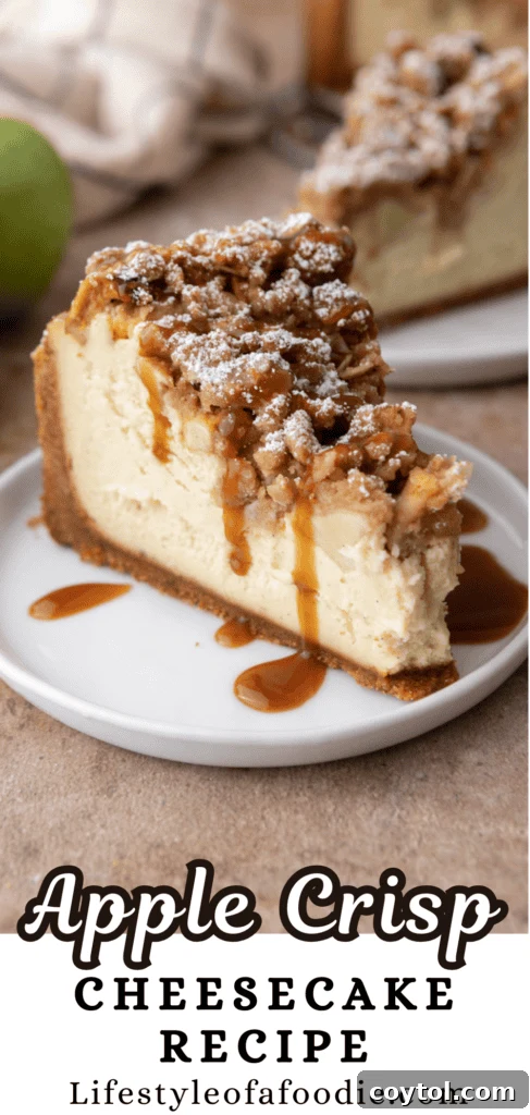 Apple Crisp Cheesecake Recipe