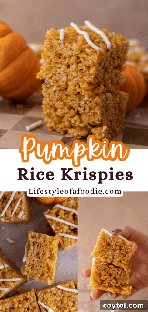 Autumn Pumpkin Rice Krispie Perfection 17 Pumpkin Rice Krispie Treats arranged beautifully for a fall display.