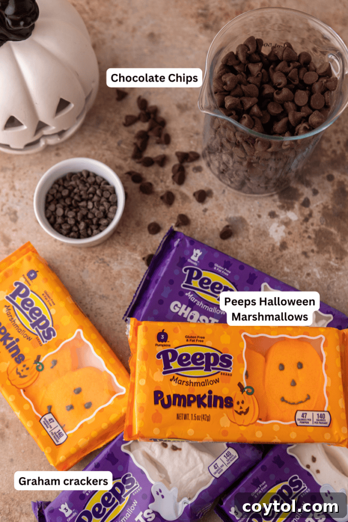 Wicked Good Halloween Smores Dip 3 Halloween S'mores Dip Recipe ingredients laid out