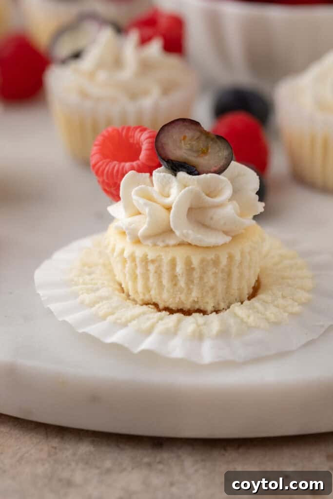 Several unwrapped mini cheesecakes with Nilla Wafers, displaying their beautiful texture and ready-to-eat appeal.