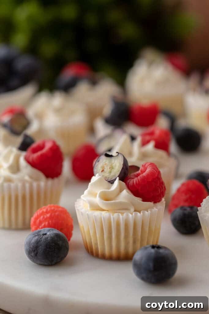 A close-up shot of several mini cheesecakes with Nilla Wafers arranged beautifully on a dessert plate, garnished with fresh berries.