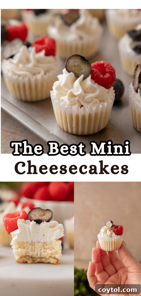 Mini Cheesecakes with Vanilla Wafers pinterest pin