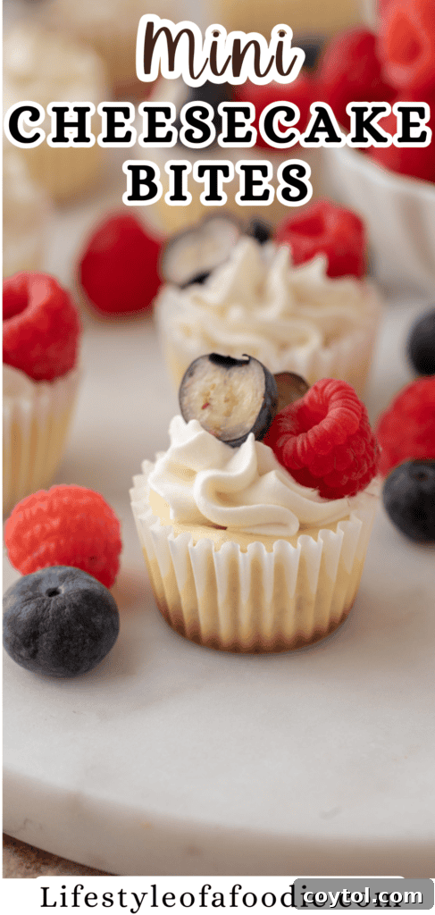 Mini Cheesecakes with Vanilla Wafers pinterest pin