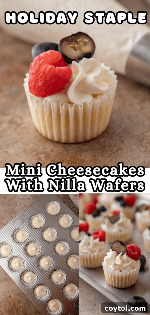 Mini Cheesecakes with Vanilla Wafers pinterest pin