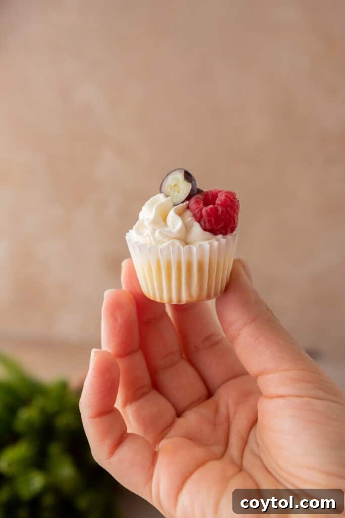 Hand delicately holding a perfectly baked mini cheesecake with Nilla Wafer crust, showcasing its creamy texture.
