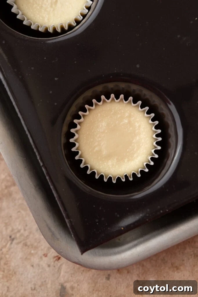 Baked mini cheesecakes, still warm, in their muffin tin cups, showing slight golden edges.