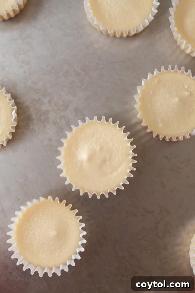 A tray of fully baked and cooled tiny cheesecakes, with perfectly set centers, ready for chilling and serving.