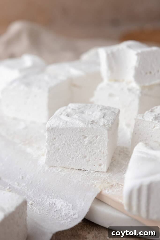 homemade marshmallows laid out on parchment paper after being cut