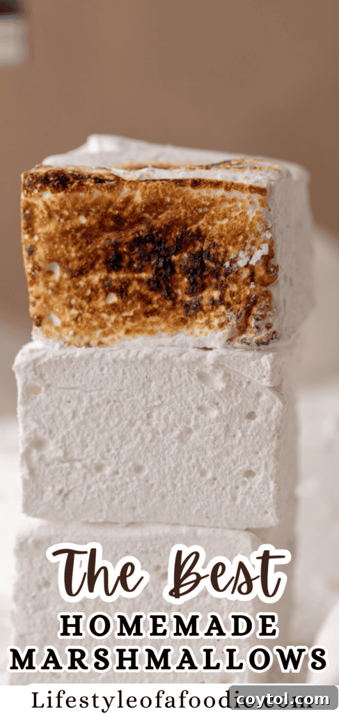 homemade marshmallows pinterest pin, showing ingredients and steps