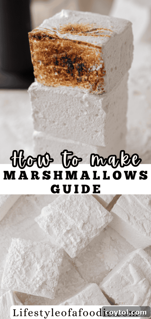 homemade marshmallows pinterest pin, close-up of texture