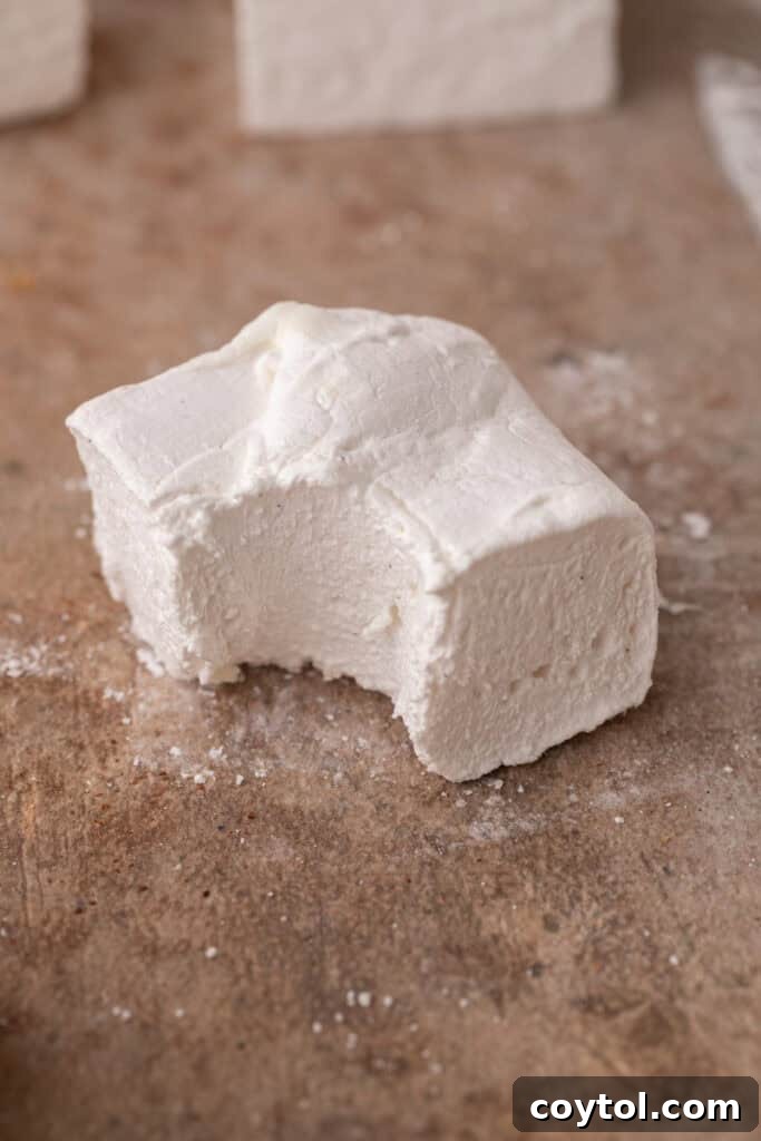 a single homemade marshmallow with a bite taken out, showing its fluffy interior