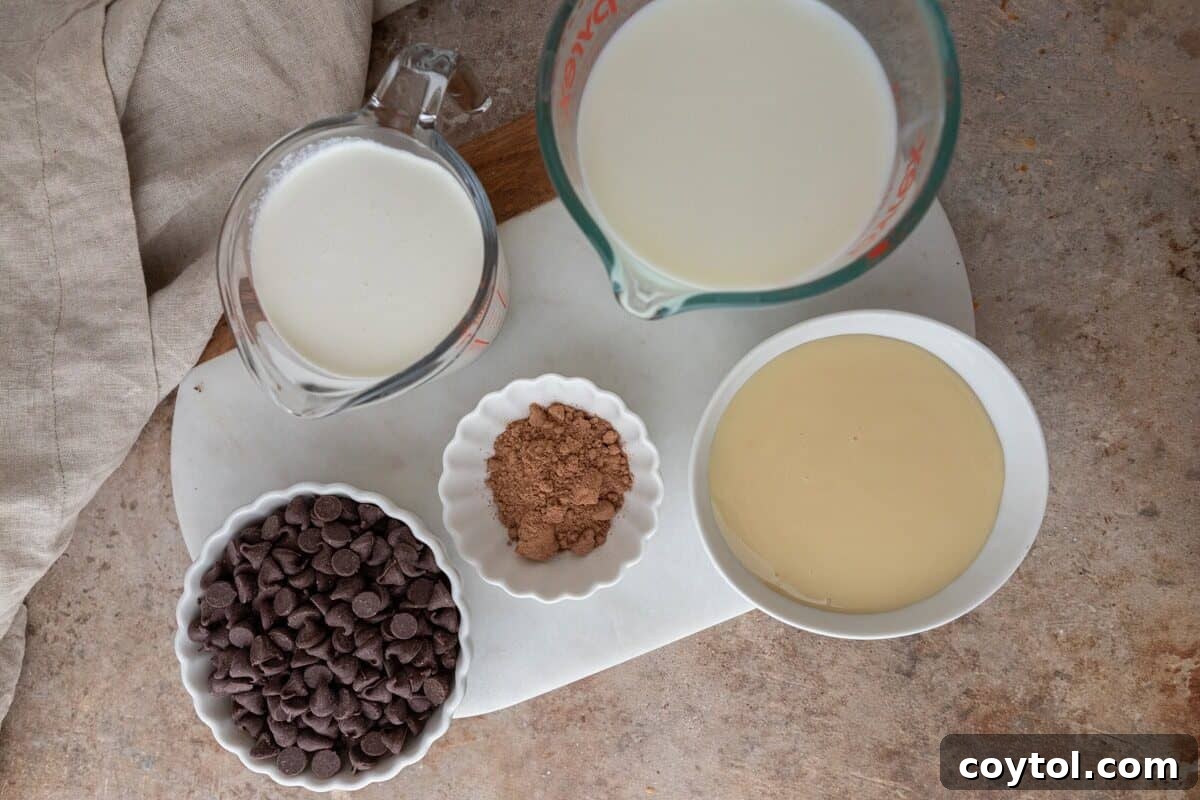 Ingredients including milk, cream, cocoa powder, chocolate chips, and sweetened condensed milk.