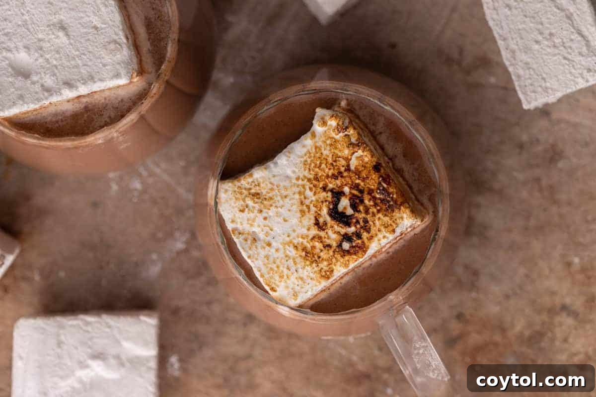 Overhead view of hot cocoa in a glass mug topped with a toasted marshmallow.
