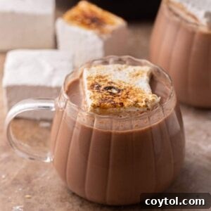 hot cocoa in a crock pot in a glass with a marshmallow