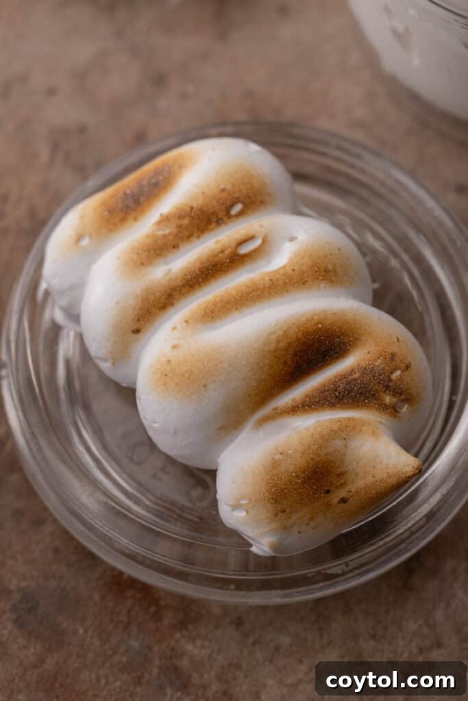 homemade marshmallow fluff recipe toasted