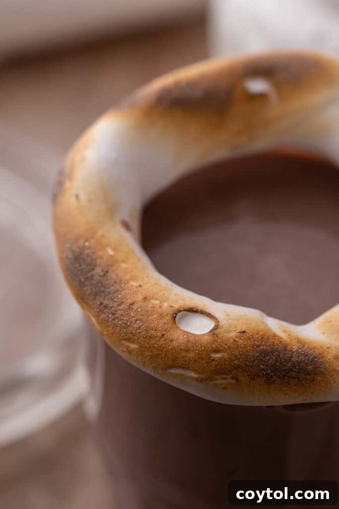 homemade marshmallow fluff recipe toasted on a mug of coffee