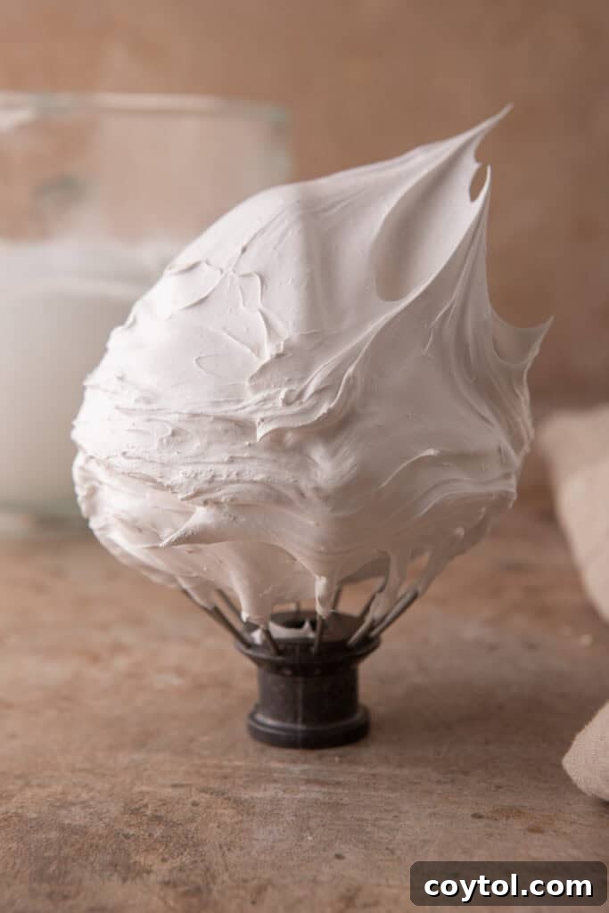 stiff peaks on a whisk attachment