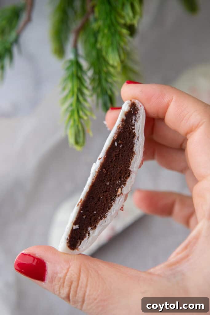 peppermint bark cookies being held up by a hand