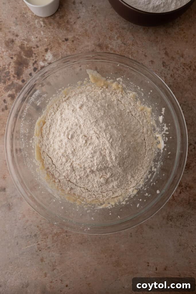 Pillowy Old-Fashioned Sour Cream Sugar Cookies 6 Flour mixture added to the wet ingredients.