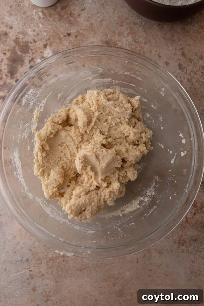 Pillowy Old-Fashioned Sour Cream Sugar Cookies 7 Cookie dough mixed in a glass bowl.