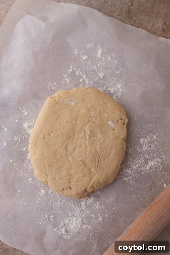 Pillowy Old-Fashioned Sour Cream Sugar Cookies 8 Sugar cookie dough shaped into a thick disc on parchment paper before chilling.