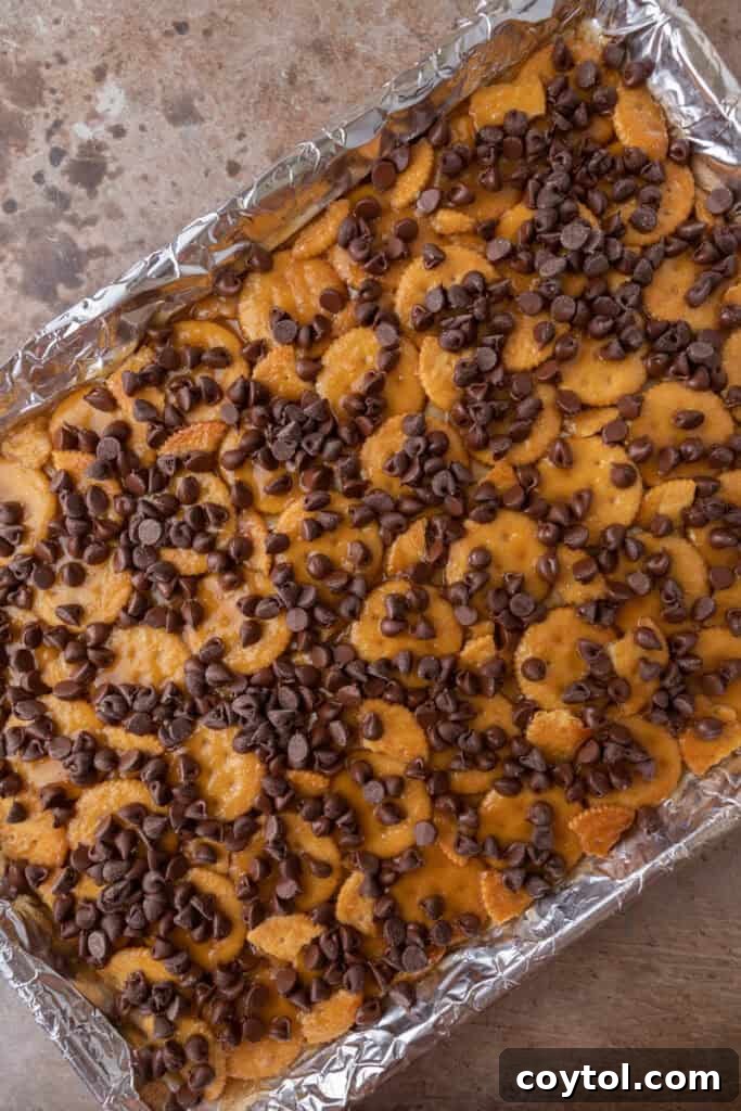 Semi-sweet chocolate chips generously sprinkled over the freshly baked, hot toffee on Ritz crackers, awaiting melting.