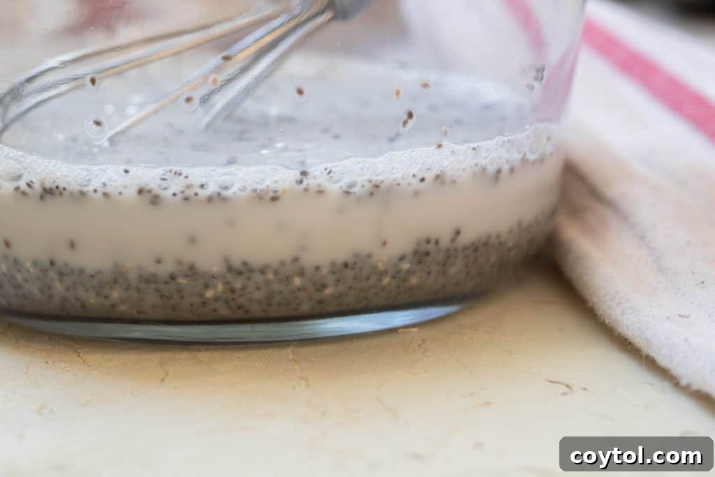 Strawberry Peanut Butter Chia Dream 12 Stirring the chia pudding after 10 minutes.
