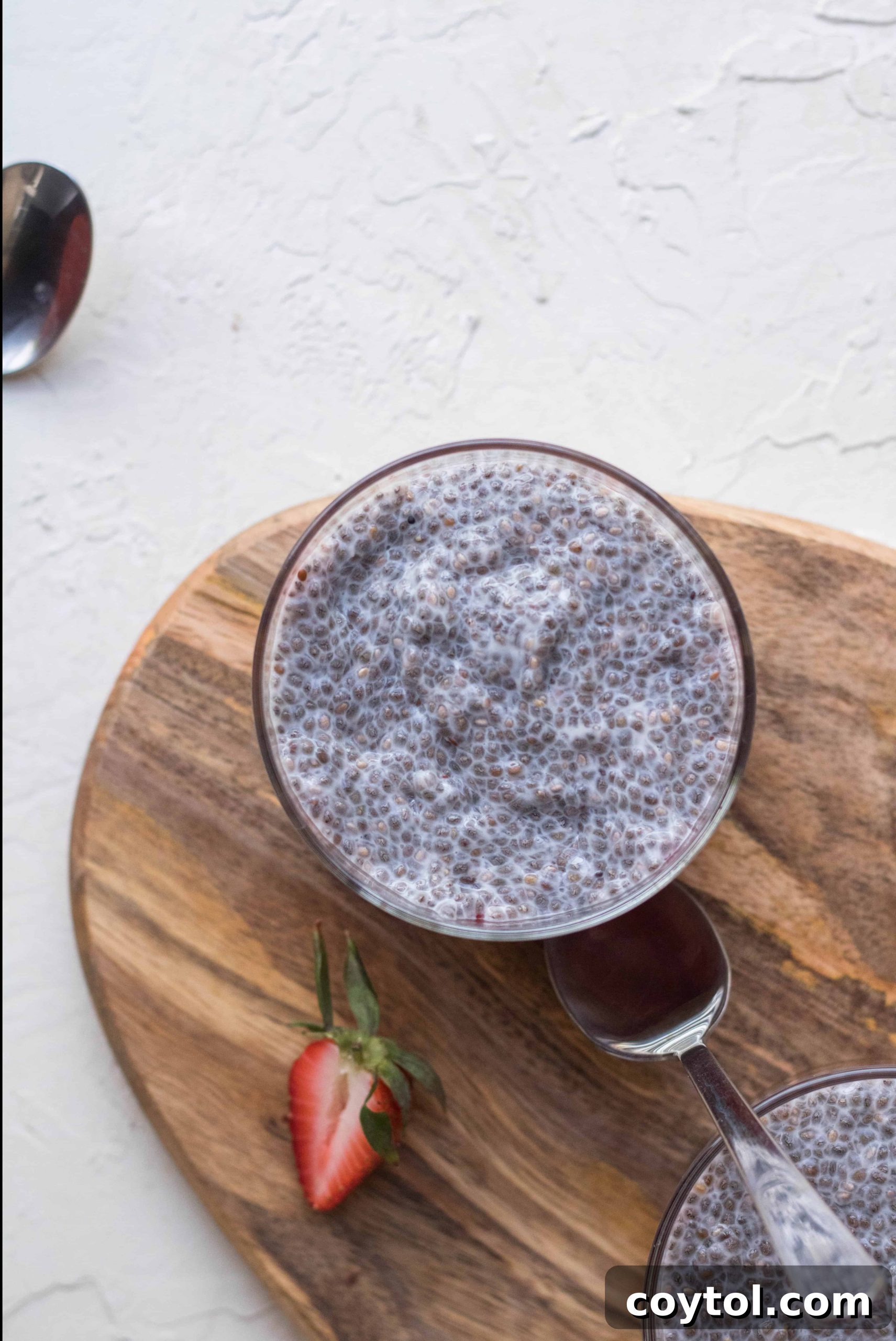 Strawberry Peanut Butter Chia Dream 19 img 9341 18 scaled