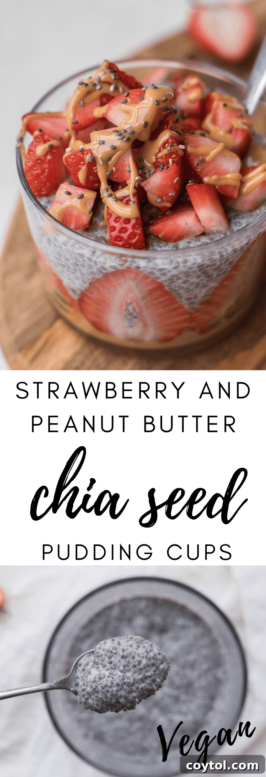 Strawberry Peanut Butter Chia Dream 24 img 9341 24 scaled