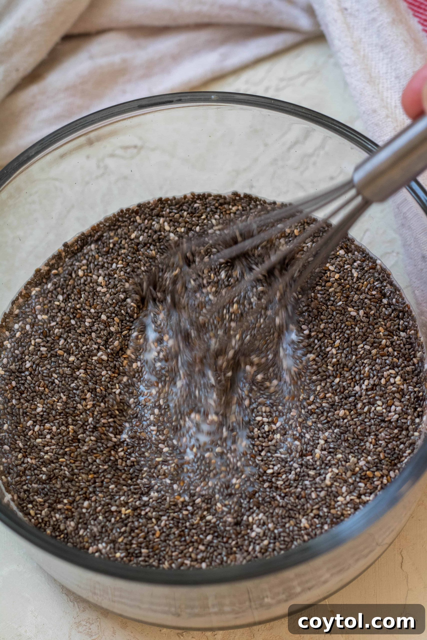 Strawberry Peanut Butter Chia Dream 10 img 9341 9 scaled
