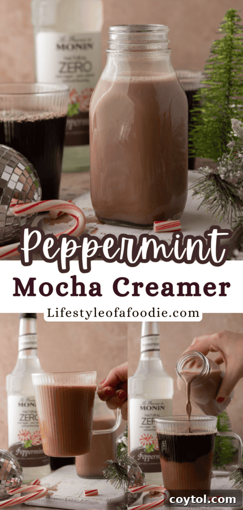 Homemade Peppermint Mocha Creamer: Your Cozy Coffee Upgrade 12 peppermint mocha creamer