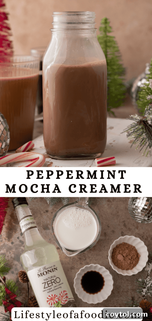 Homemade Peppermint Mocha Creamer: Your Cozy Coffee Upgrade 13 peppermint mocha creamer