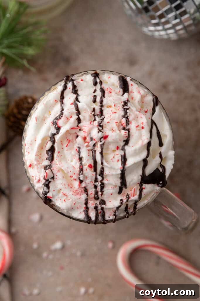 Mastering Starbucks Peppermint Mocha at Home 11 Overhead shot of a Starbucks Peppermint Mocha recipe with whipped cream and candy cane topping
