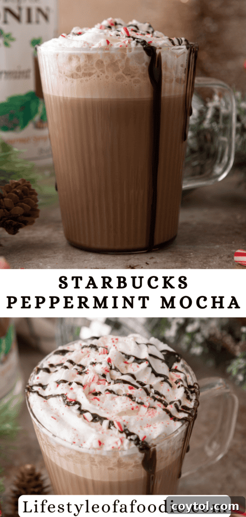 Mastering Starbucks Peppermint Mocha at Home 16 Peppermint Mocha Starbucks recipe Pinterest pin image 1