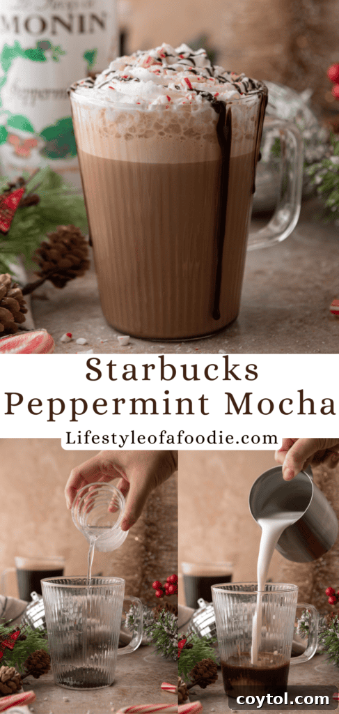 Mastering Starbucks Peppermint Mocha at Home 18 Peppermint Mocha Starbucks recipe Pinterest pin image 3
