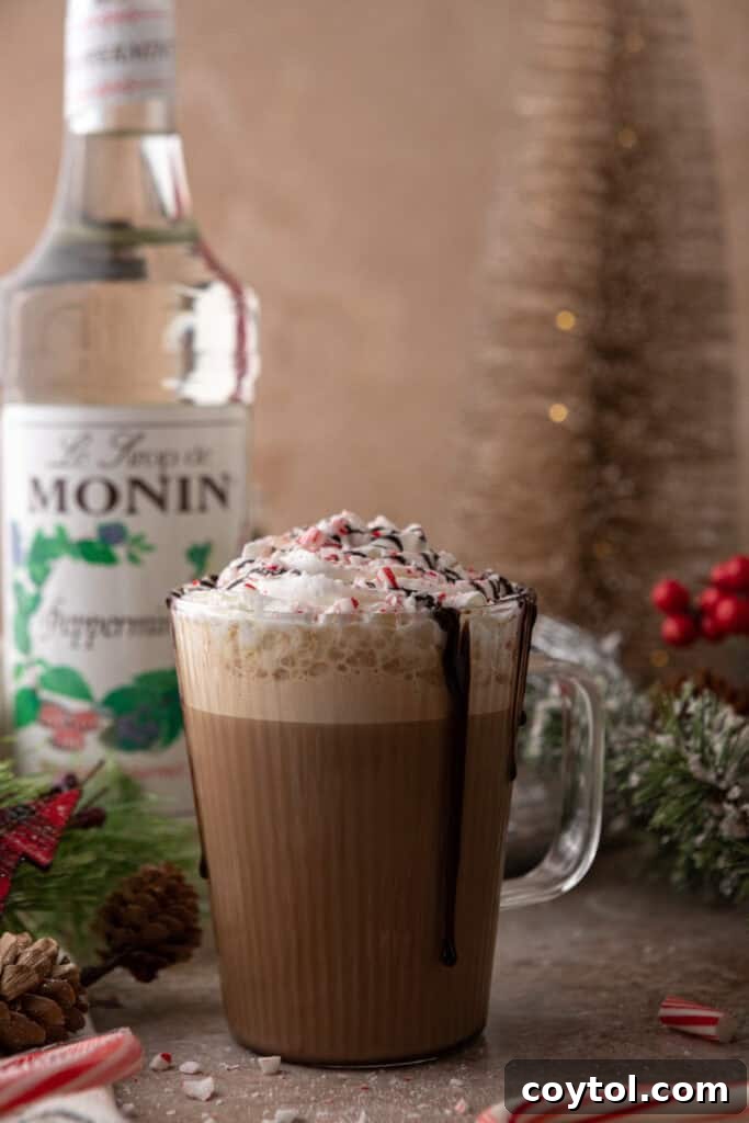 Mastering Starbucks Peppermint Mocha at Home 10 A closer view of the mixed ingredients for the Peppermint Mocha recipe