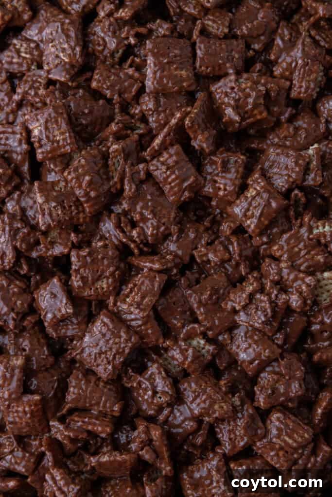 Close-up of a Muddy Buddy Bar, showcasing the crisp cereal, rich coating, and powdered sugar.